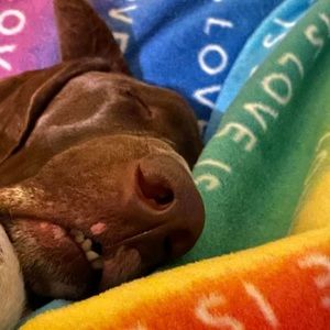 Meet your Posher, Jaime